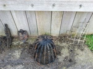 magneetvissen vondsten